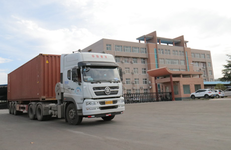 1X20GP Container shipping
