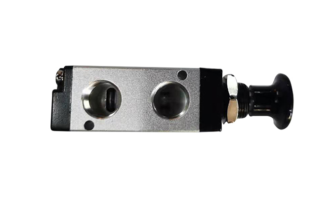 CHACS valve,Two position five way solenoid valve
