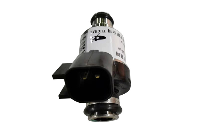 CNG Injection valve,CNG Injector