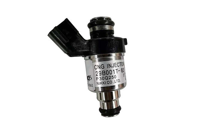 CNG Injection valve,CNG Injector